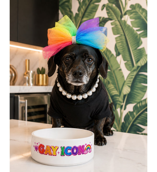 Gay Icon Pet Bowl